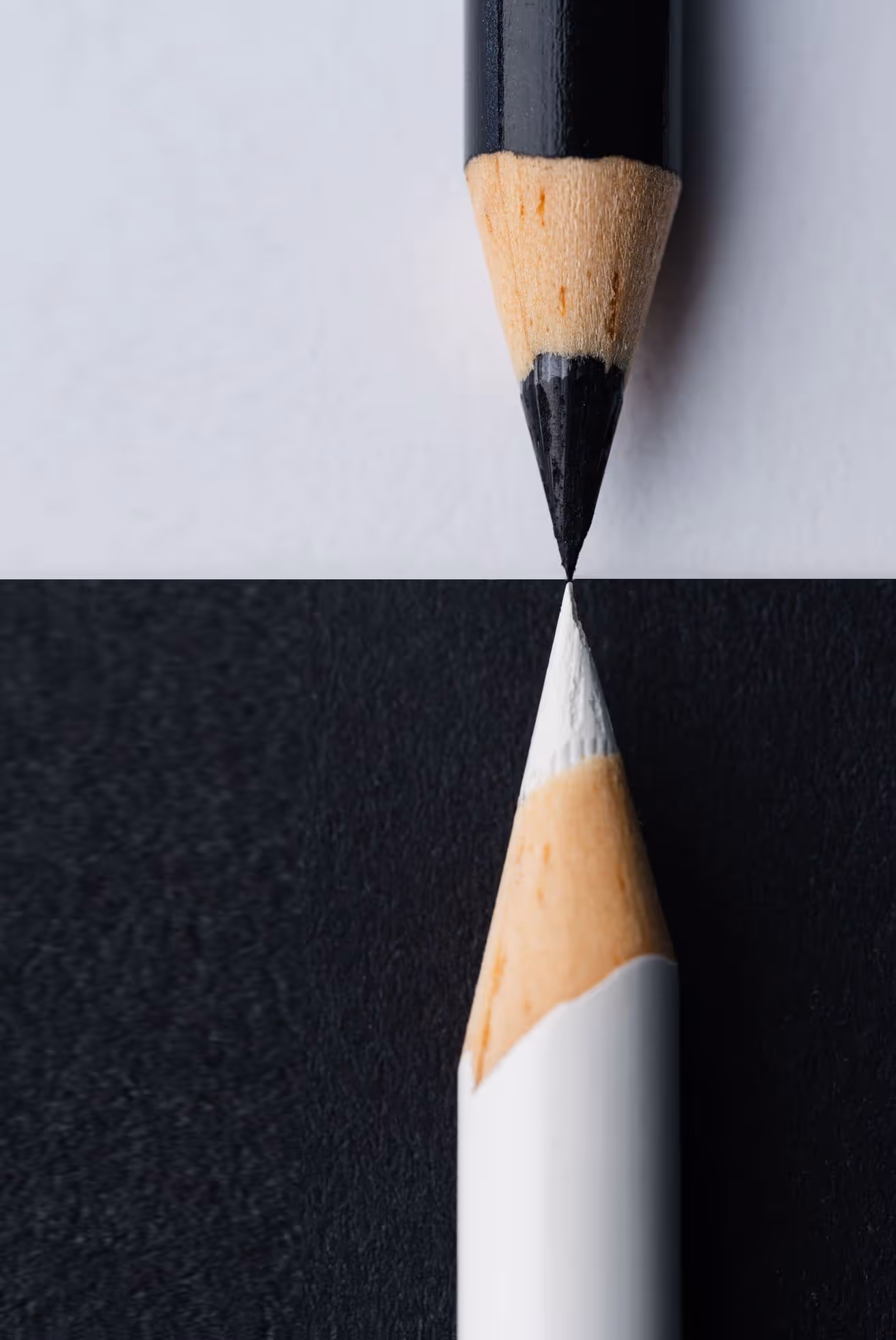 Professional sworn translation quality control and proofreading by Daniel Rider Garrido